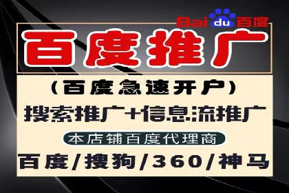 百度竞价公司案例分析：优化策略全解析